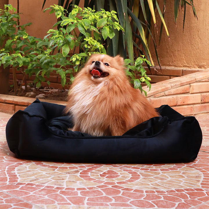 Petmoda Velvet Bed Small 50*40 - Black.