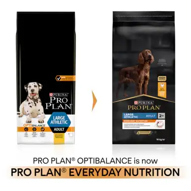 Pro Plan Everyday Nutrition Dry Food with Chicken for Large Athletic Adult Dogs 14 kg.