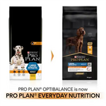 Pro Plan Everyday Nutrition Dry Food with Chicken for Large Athletic Adult Dogs 14 kg.