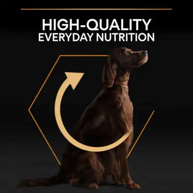 Pro Plan Everyday Nutrition Dry Food with Chicken for Large Athletic Adult Dogs 14 kg.