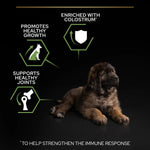 Pro Plan Large Robust Puppy Chicken 3kg.