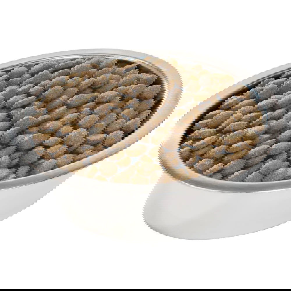 Pro Plan Large Robust Puppy Chicken 3kg.