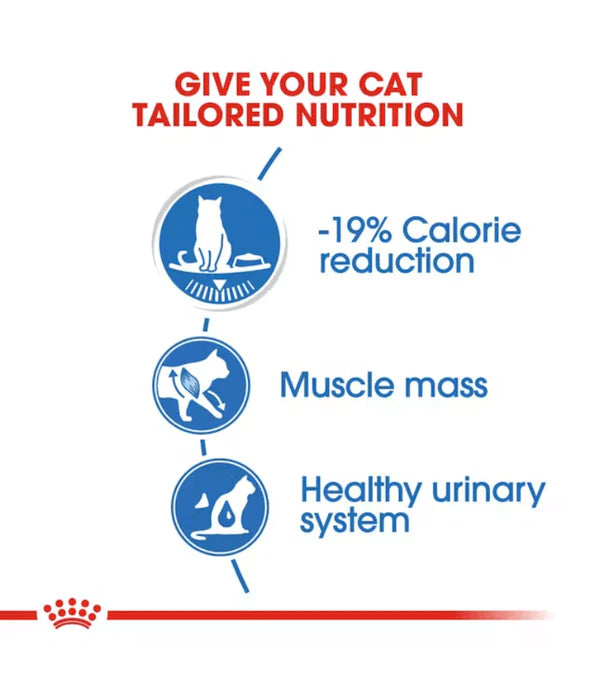 Royal Canin - Light Weight Pouch Cat Food In gravy 85g