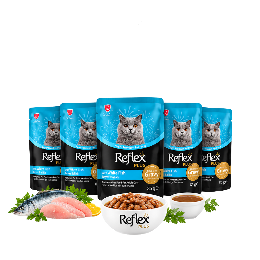 5X Reflex Plus Cat Wet Food Chunks in Gravy with White Fish 85g Petfast.shop Reflex Bundles Cat Exclude Food Wet Food petfast.shop EgyptDefault Title 190.00