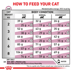 Royal Canin Renal All Breeds Adult Cat Food.