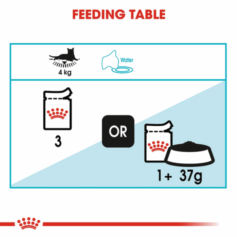 Feeding table diagram for a cat with symbols and text indicating feeding amounts and water intake.
