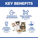 Hill's Science Plan Kitten Food with Salmon 1.5Kg Petfast.shop Hill's Cat Dry Food Food Kitten petfast.shop EgyptDefault Title 1550.00