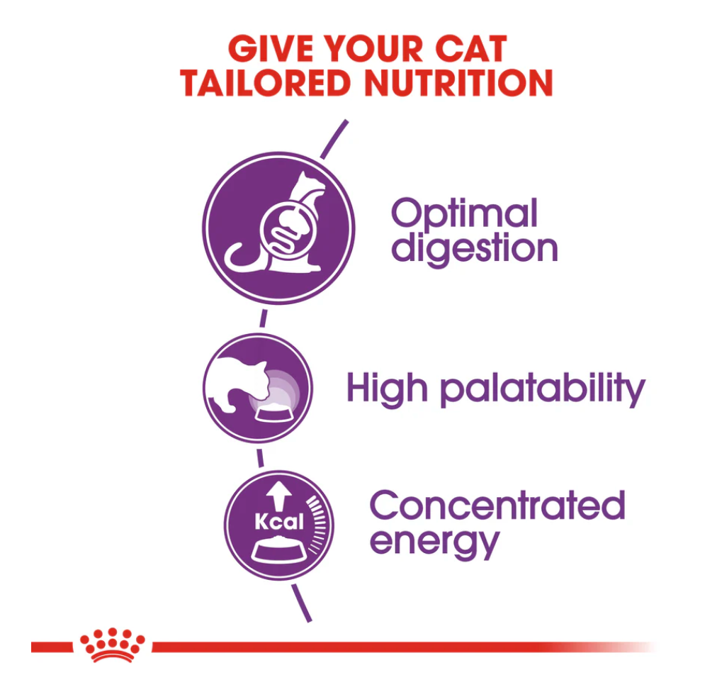 Royal Canin Sensible All Breeds Adult Cat Food.