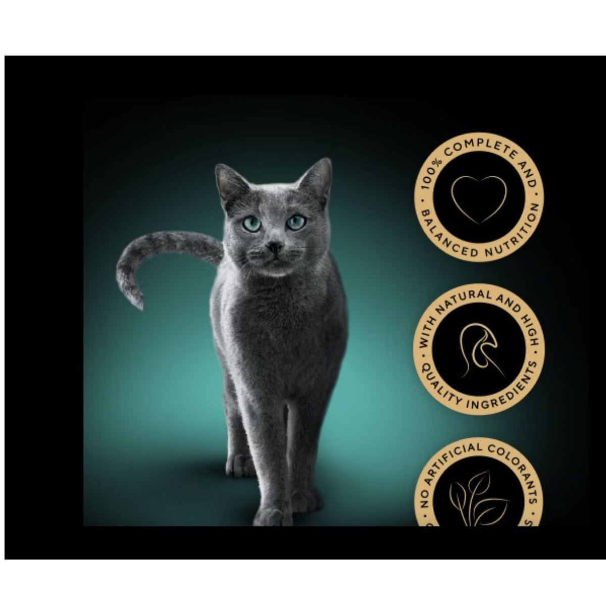 Sheba Seasons Collection Cat Wet Food Chicken & Asparagus In Creamy Sauce 85 g Petfast.shop Sheba Cat Exclude Exclusive Food Wet Food petfast.shop EgyptDefault Title 275.00