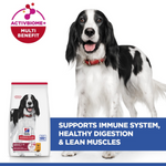 Hill's Science Plan Medium Adult Dog with Chicken Petfast.shop Hill's Dog Dry Food Food Prescription Food petfast.shop Egypt2.5Kg 1490.00