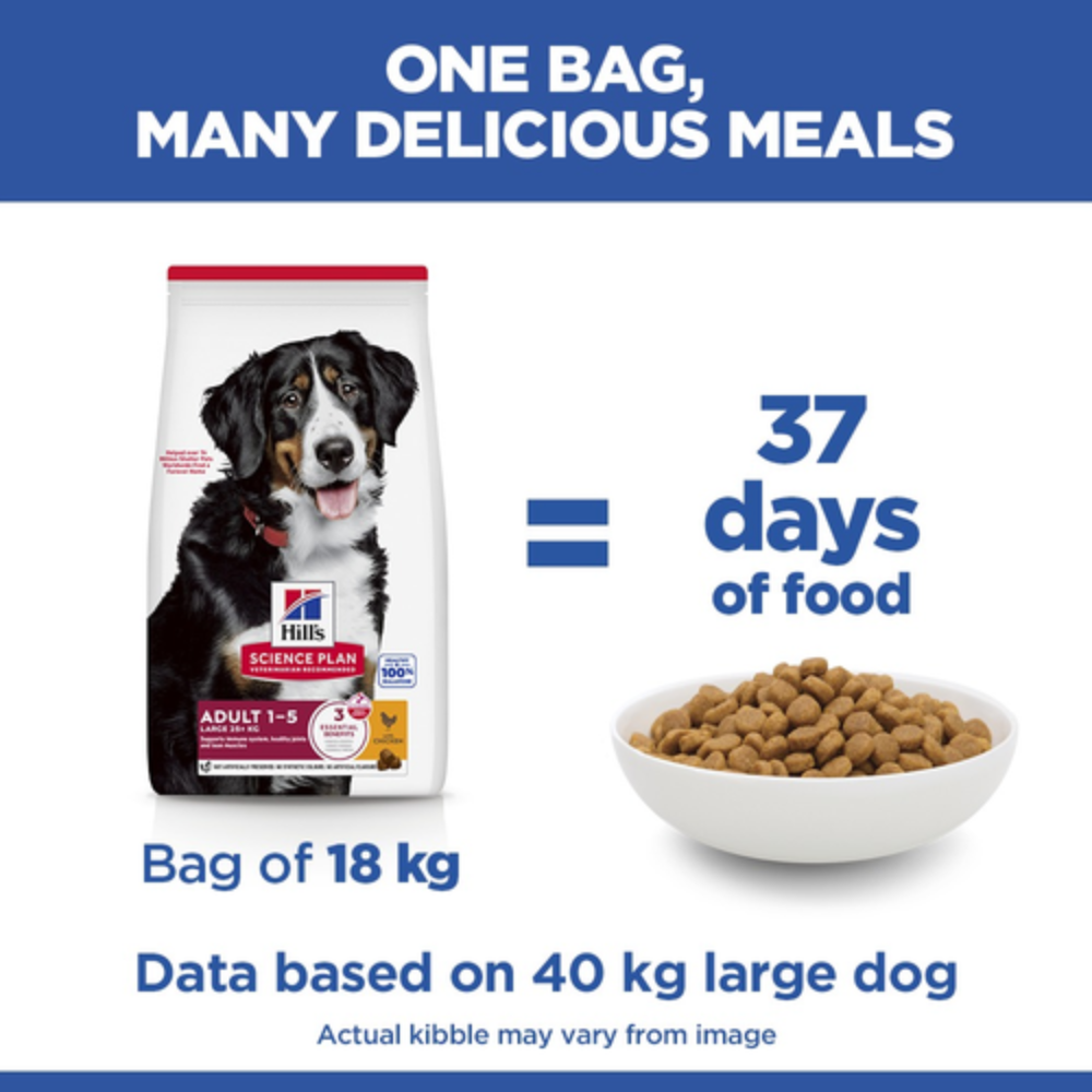 Hill's Science Plan Large Breed Adult Dog Food with Chicken Petfast.shop Hill's Dog Dry Food Food petfast.shop Egypt2.5K 1460.00
