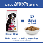 Hill's Science Plan Large Breed Adult Dog Food with Chicken Petfast.shop Hill's Dog Dry Food Food petfast.shop Egypt2.5K 1460.00