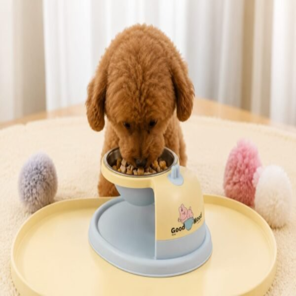 Feeding Bowl for Cats and Small Dogs Petfast.shop Generic Bowls & Feeders Cat Dog Supplies petfast.shop EgyptBlue 300.00