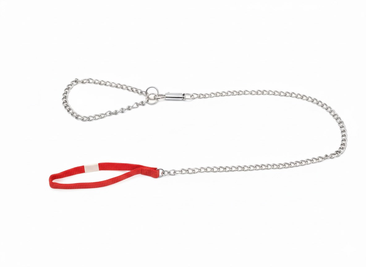 Dog chain stainless steel with collar 1.5ml for small dogs.