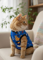Cat wearing a blue shirt with colorful patterns on a couch