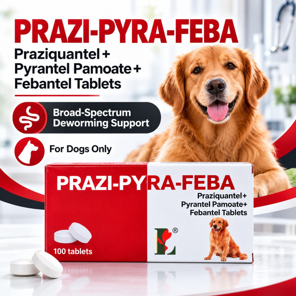 Prazi-Pyra-Feba Deworming for Dog 10 Tablets Petfast.shop Prazi-Pyra-Feba Dog Heartworm & Dewormers Pharmacy petfast.shop EgyptDefault Title 550.00