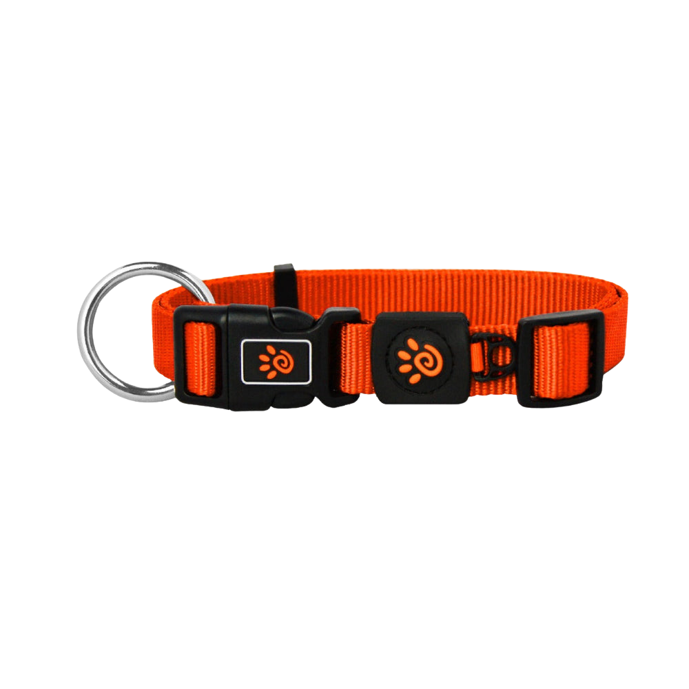 DOCO® Nylon O-Ring Dog Collar.