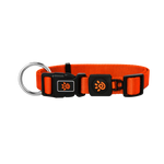 DOCO® Nylon O-Ring Dog Collar.