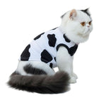 Cat wearing a cow print outfit on a white background