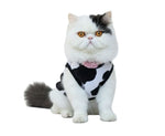 Cat wearing a cow print harness on a white background