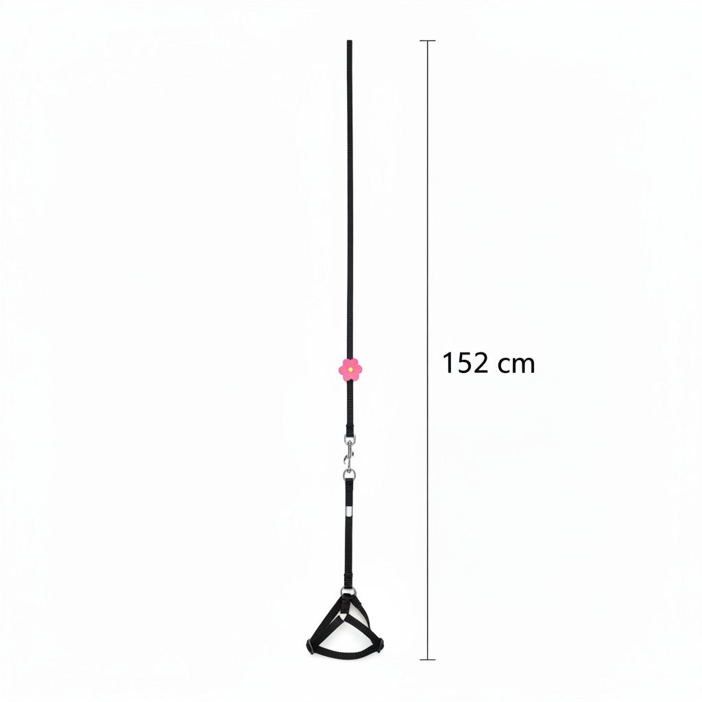 Nunbell Leash 152 Cm Petfast.shop Nunbell Cat Dog leash & Coller & Harness Supplies petfast.shop EgyptBlack 245.00