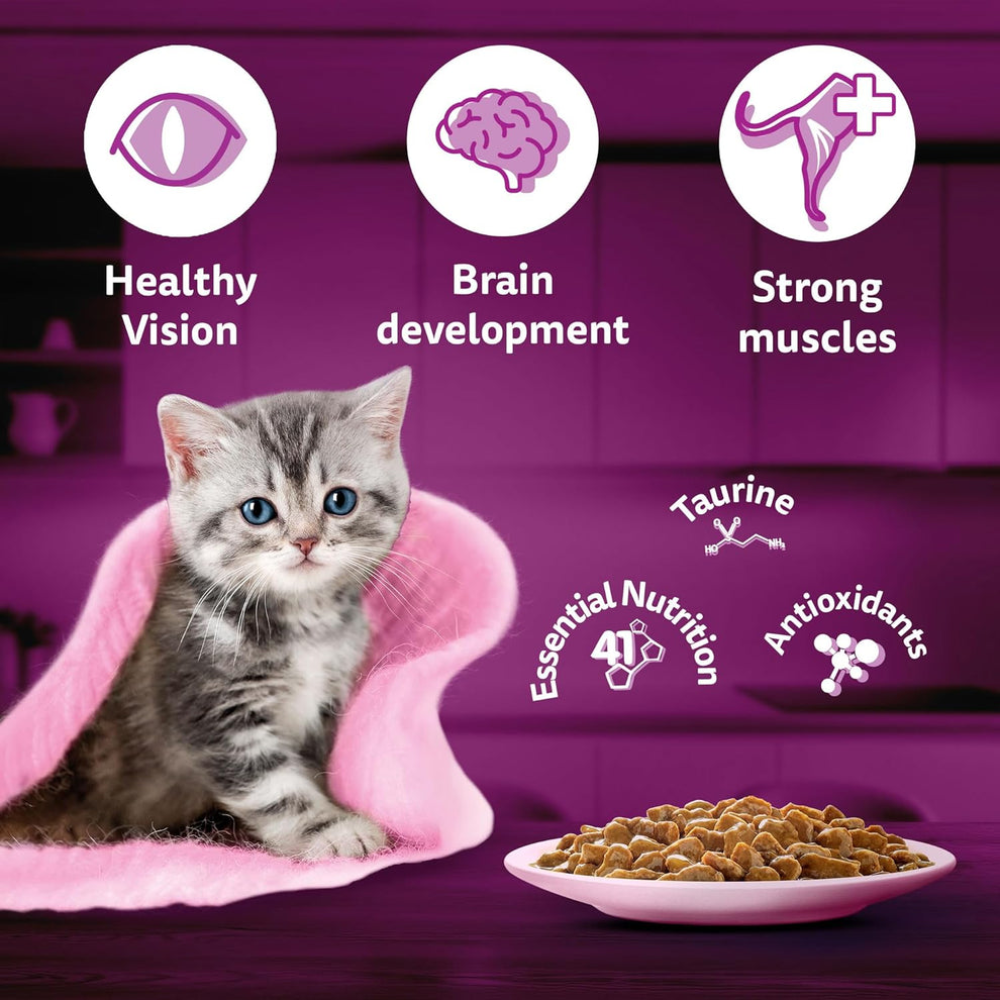 Whiskas Junior Kitten Wet Food with Duck 85g Petfast.shop Whiskas Cat Exclusive Food Kitten Wet Food petfast.shop EgyptDefault Title 135.00