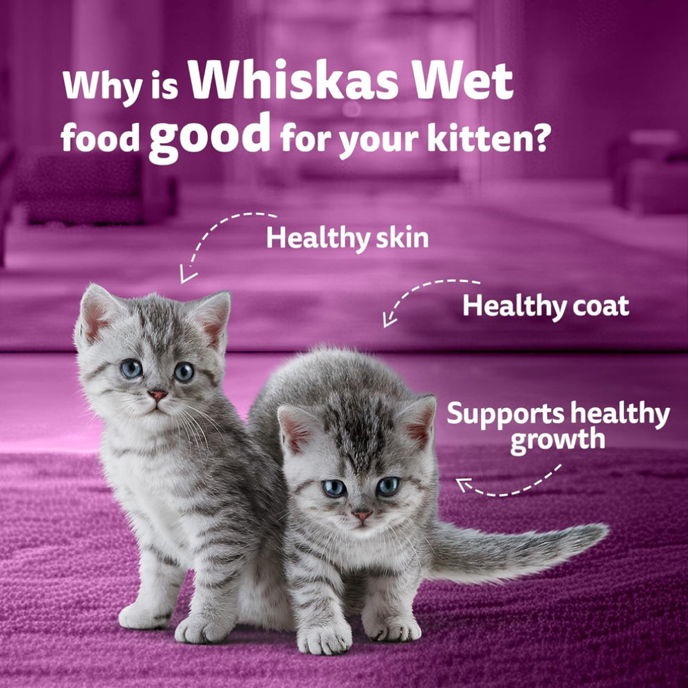 Whiskas Junior Kitten Wet Food with Duck 85g Petfast.shop Whiskas Cat Exclusive Food Kitten Wet Food petfast.shop EgyptDefault Title 135.00
