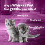 Whiskas Junior Kitten Wet Food with Duck 85g Petfast.shop Whiskas Cat Exclusive Food Kitten Wet Food petfast.shop EgyptDefault Title 135.00