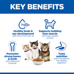 Hill's Science Plan Kitten Food with Chicken Petfast.shop Hill's Cat Dry Food Food Kitten petfast.shop Egypt300g 450.00