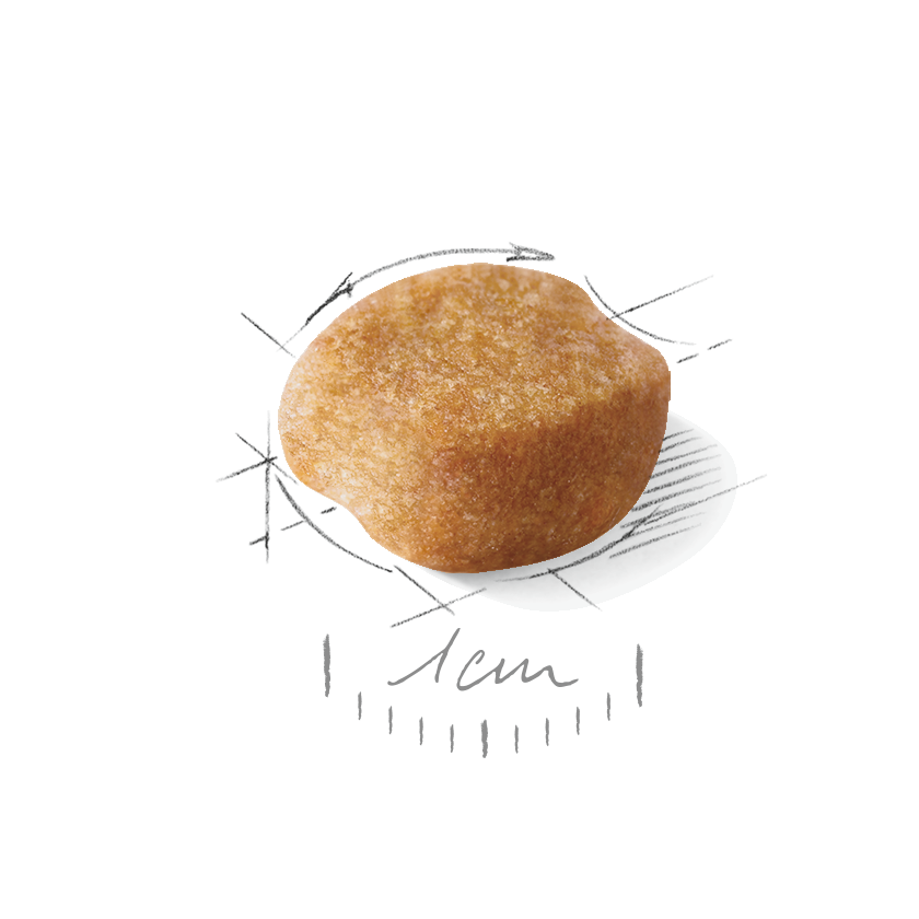 Royal Canin Yorkshire Terrier Adult Dog Food 1.5kg.