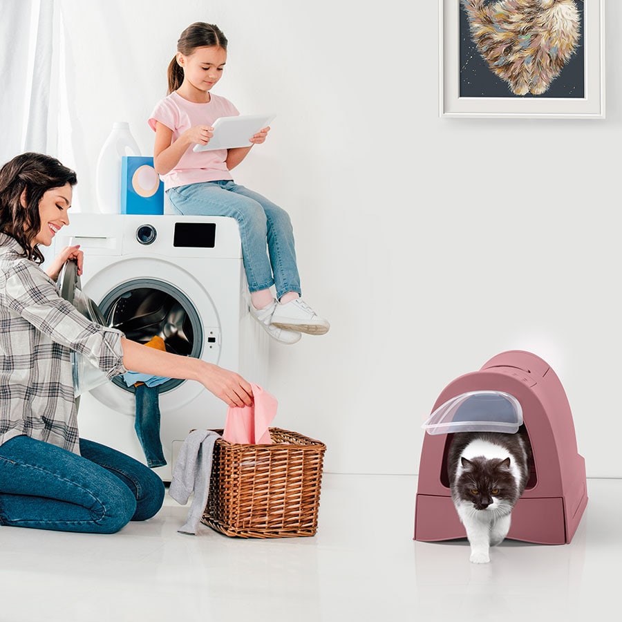 Imac Zuma Closed Litter Box 42.5 Cm * 56 Cm Petfast.shop IMac Box & Accessories & Litter Cat Litter Box & Accessories petfast.shop Egypt PIM5904S Pink 3750.00