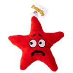 Fetch Up Star Dog Toy.