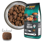 Belcando Adult Dog Dry Food Gf Ocean 12.5Kg Petfast.shop Belcando Dog Dry Food Food petfast.shop EgyptDefault Title 5500.00