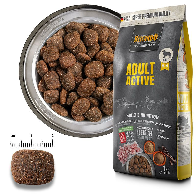 Dog food in a bowl and packaging with a scale for size reference