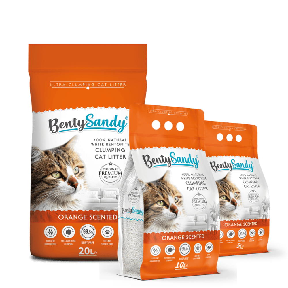Bentley Sandy cat litter packages on a white background