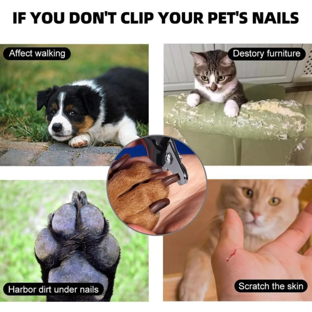 Pet Nail Clipper Grooming Tool Petfast.shop Generic Brushes Combs and Clippers Cat Dog Supplies petfast.shop Egypt PPE6855S Pink 120.00