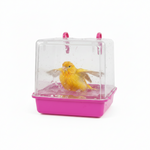 Bird Bath Box Size 17*15Cm