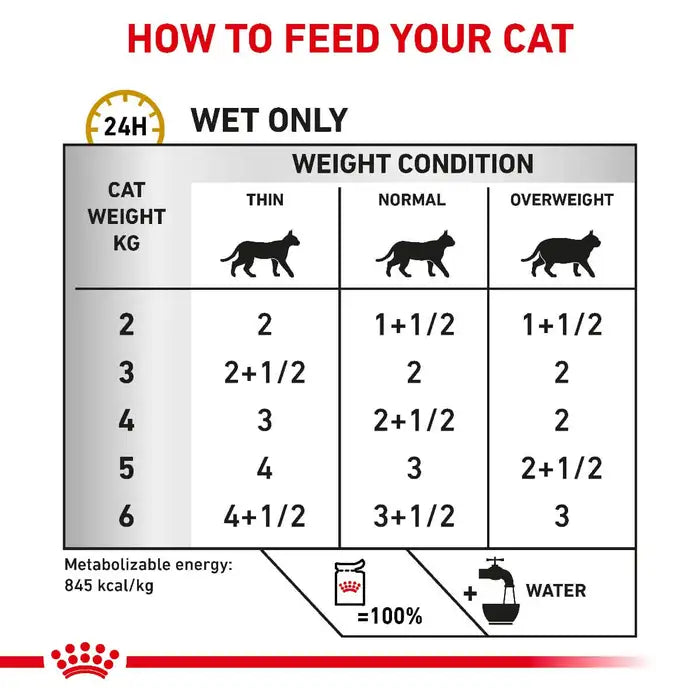Royal Canin Wet Food Urinary S/O in Loaf Pouch 85 g