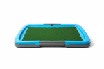 Blue Pet Potty Tray - Front View