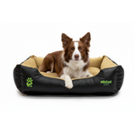 Border Collie Lying in Black Tan Bed