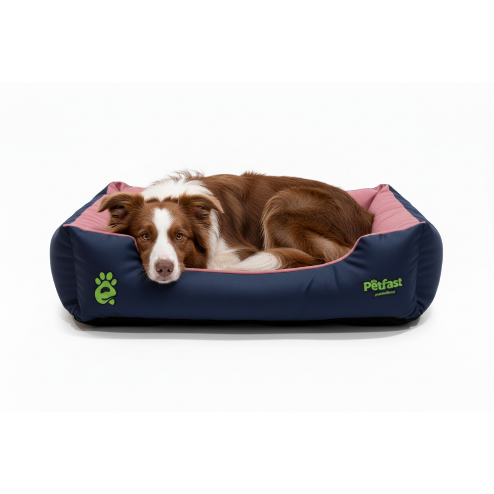Border Collie Lying in Navy Pink Bed