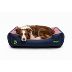 Border Collie Lying in Navy Pink Bed