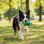 Dog American Football & Sound Toy