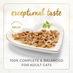 Heart-shaped plate of cat food with text about exceptional taste and balanced nutrition for adult cats.
