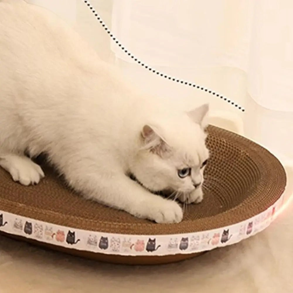 White cat lying on a round brown cat scratcher with a patterned border.
