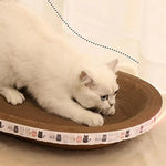 White cat lying on a round brown cat scratcher with a patterned border.