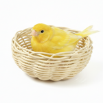 Canary in Round Woven Nest