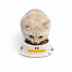 Bowl for Pet Duck Shape