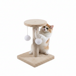 Cat Playing