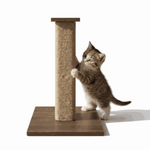 Cat scratching post with kitten on white background